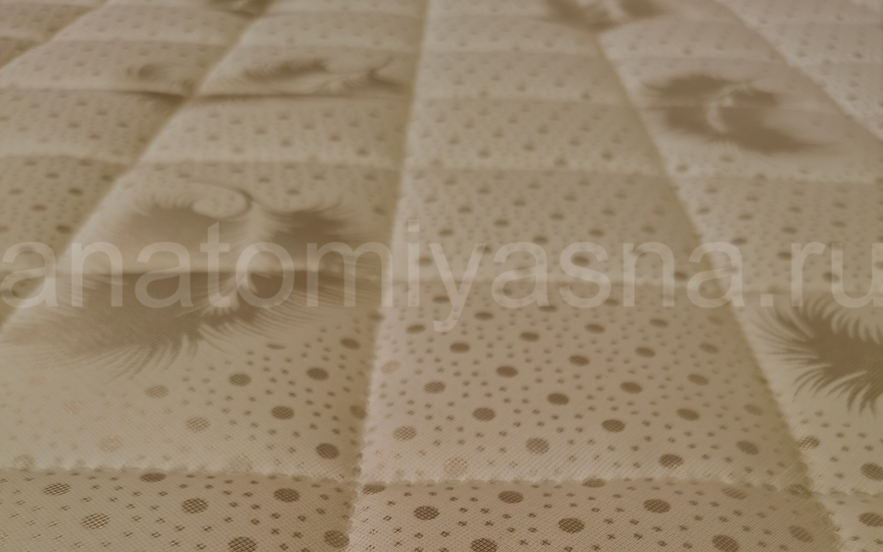 отзыв о Матрас DreamLine Easy Norma TFK фото 2